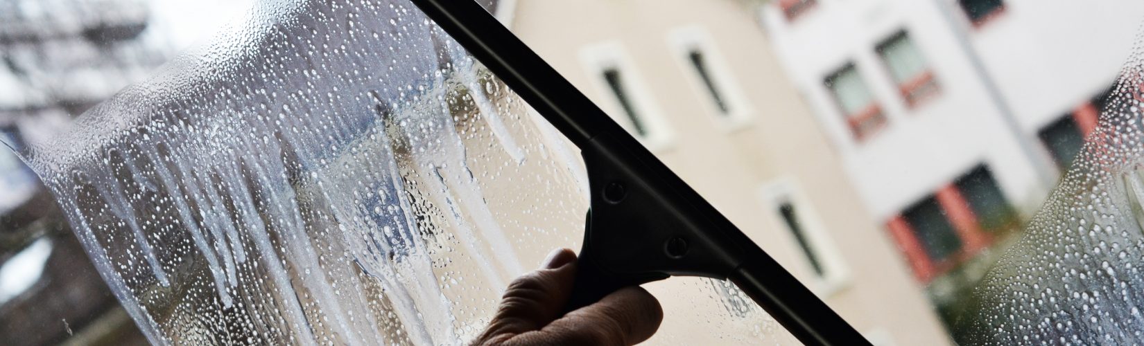 Fensterreinigung